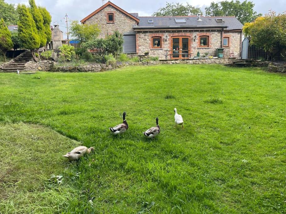 The Barn Villa Ammanford Exterior photo